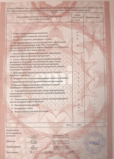 Приложение к диплому, стр. 2: дисциплины и часы